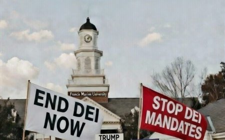 Controversy at Francis Marion University: Professor Andrew Londo's Online Outburst and Public Scrutiny